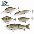 wellowen™ Hard Bait Assortment, 5-Piece